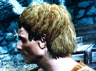 Illustration for article titled 10 Things I Hate About Skyrim